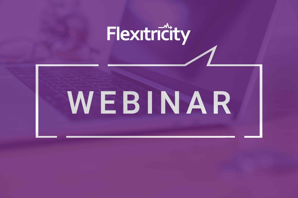 WEBINAR: Heat pumps and demand side flexibility - registration open