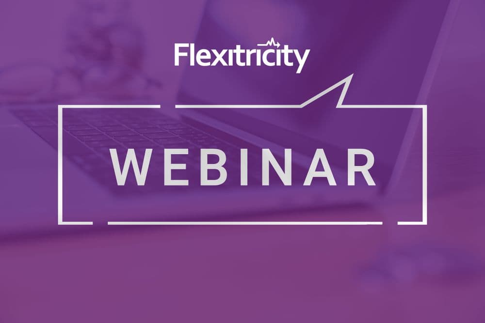Wider access to the Balancing Mechanism webinar
