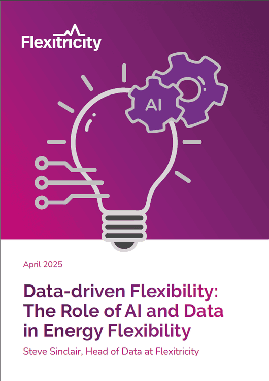 Data-driven Flexibility: The Role of AI and Data in Energy Flexibility