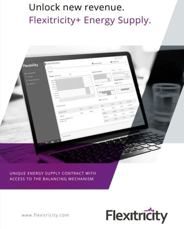 Flexitricity+ Energy Supply brochure