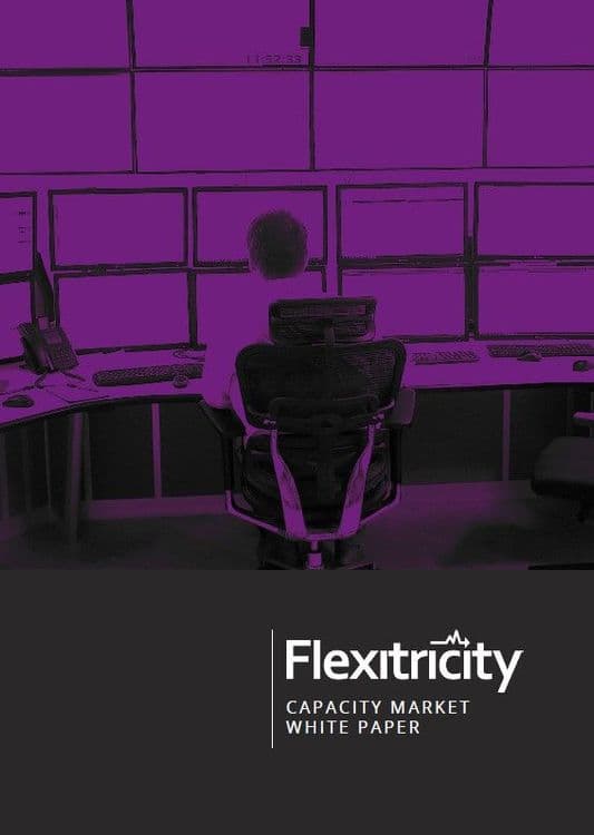 Capacity Market White Paper