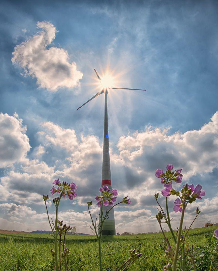 article cover image